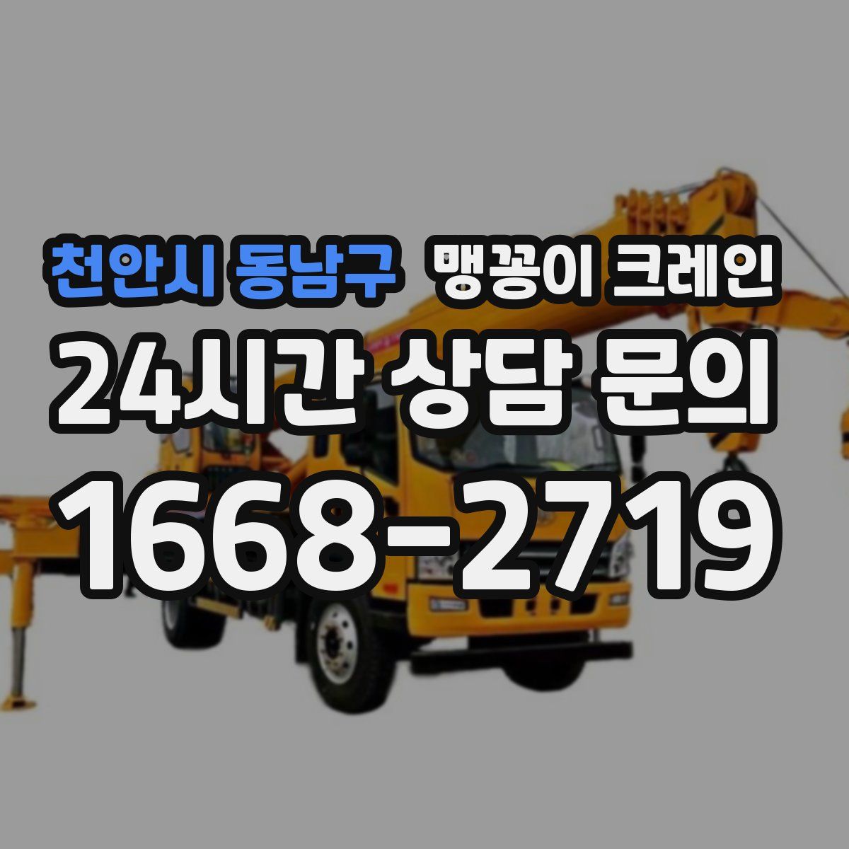천안시 동남구 맹꽁이 크레인