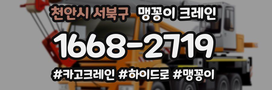 천안시 서북구 맹꽁이 크레인