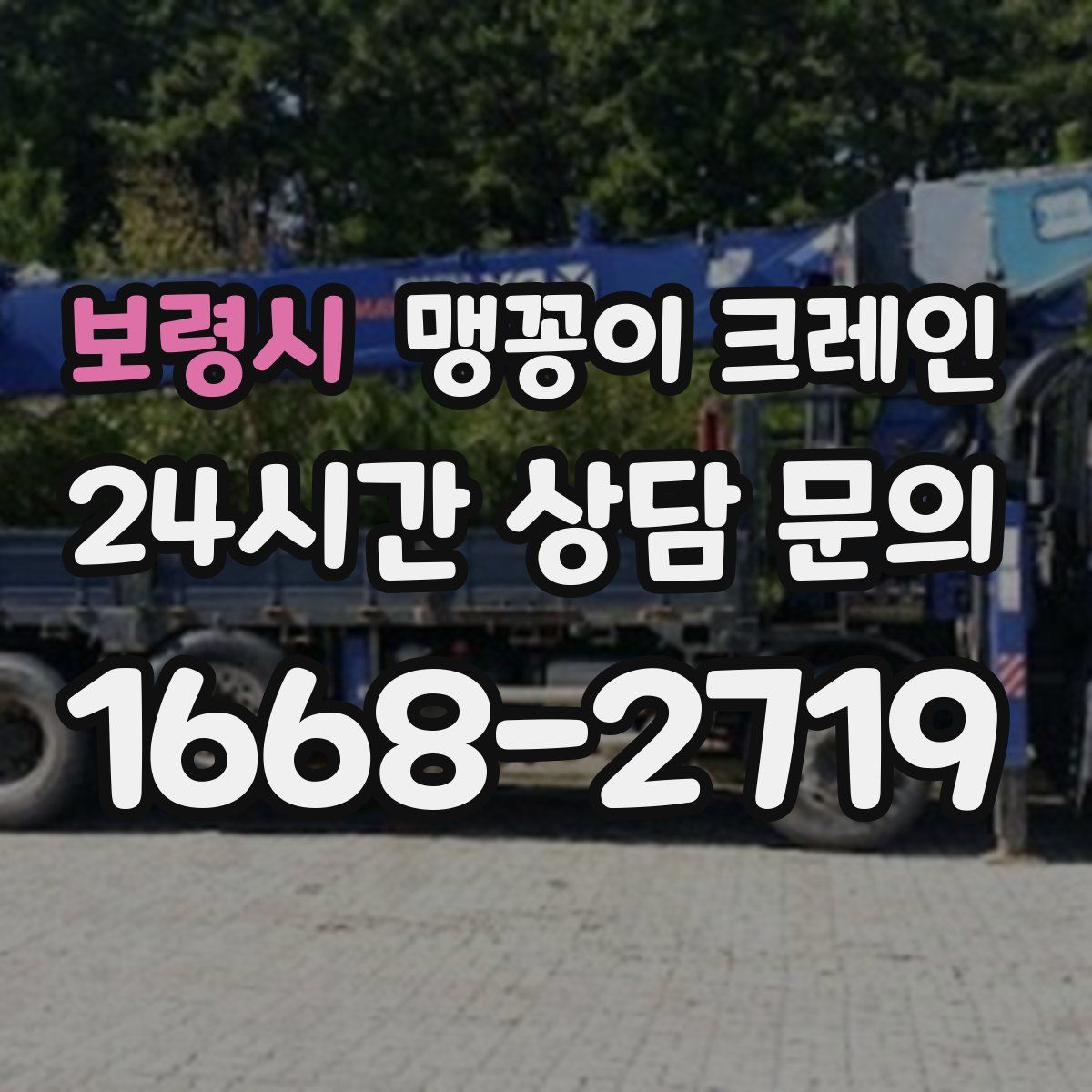 보령시 맹꽁이 크레인