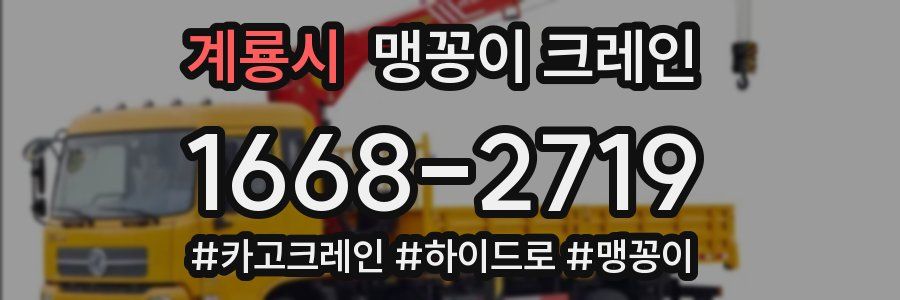 계룡시 맹꽁이 크레인