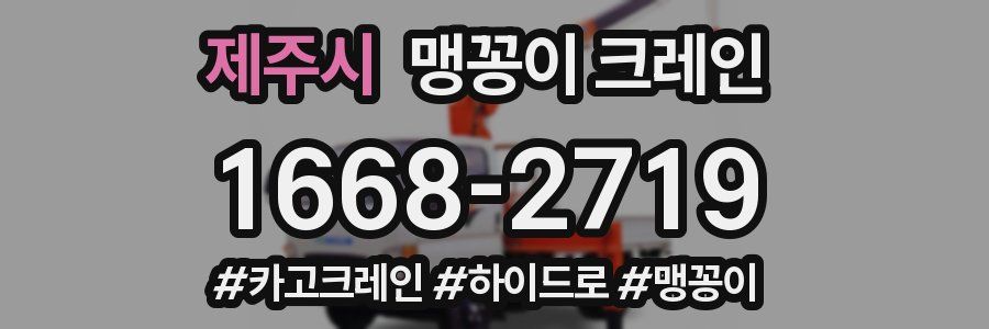제주시 맹꽁이 크레인