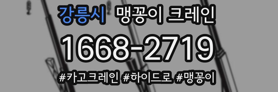 강릉시 맹꽁이 크레인