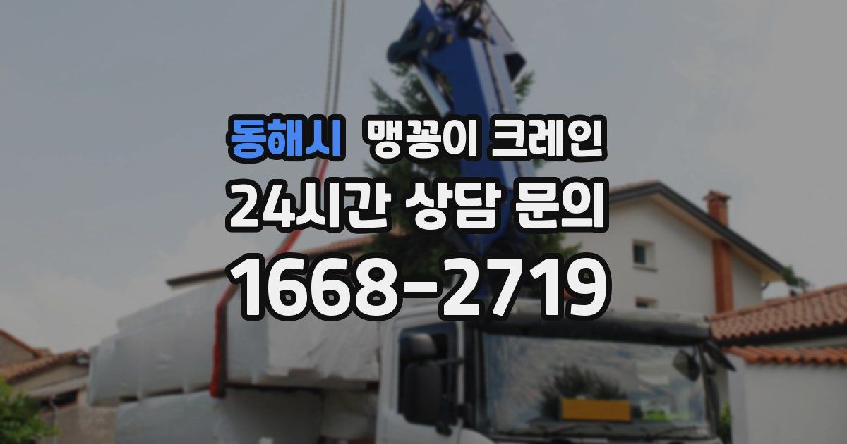 동해시 맹꽁이 크레인