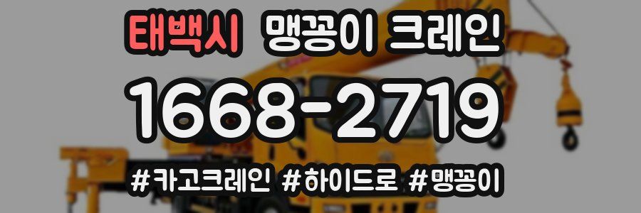 태백시 맹꽁이 크레인