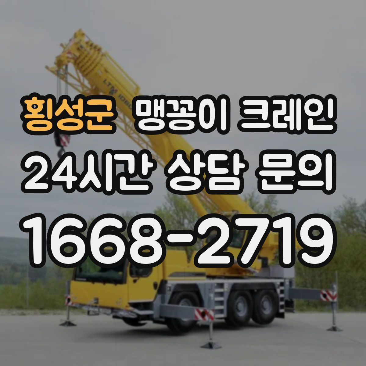 횡성군 맹꽁이 크레인