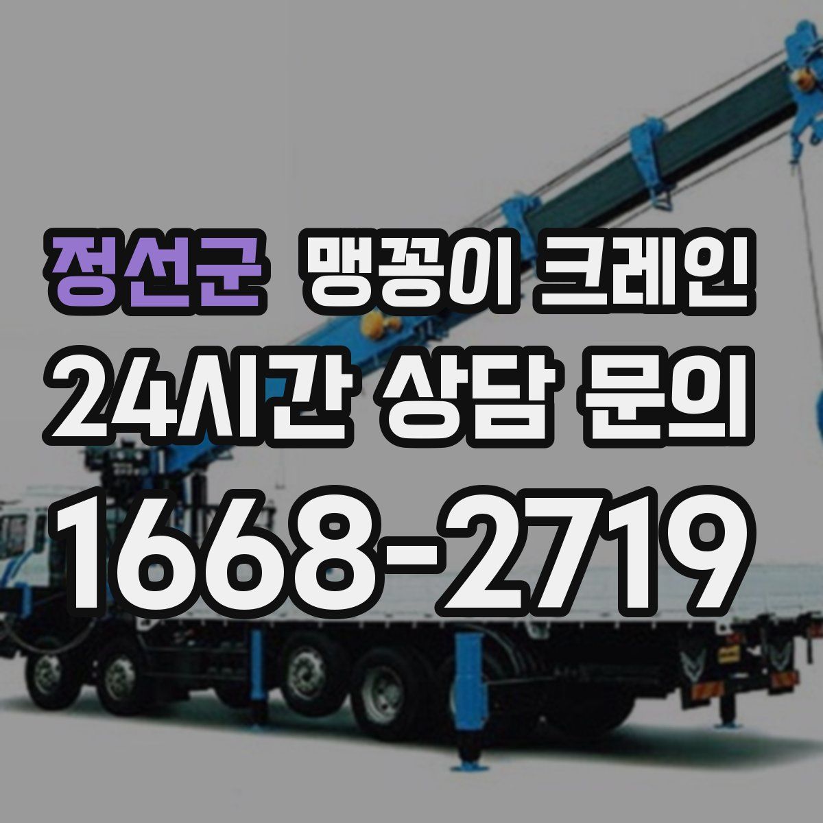 정선군 맹꽁이 크레인