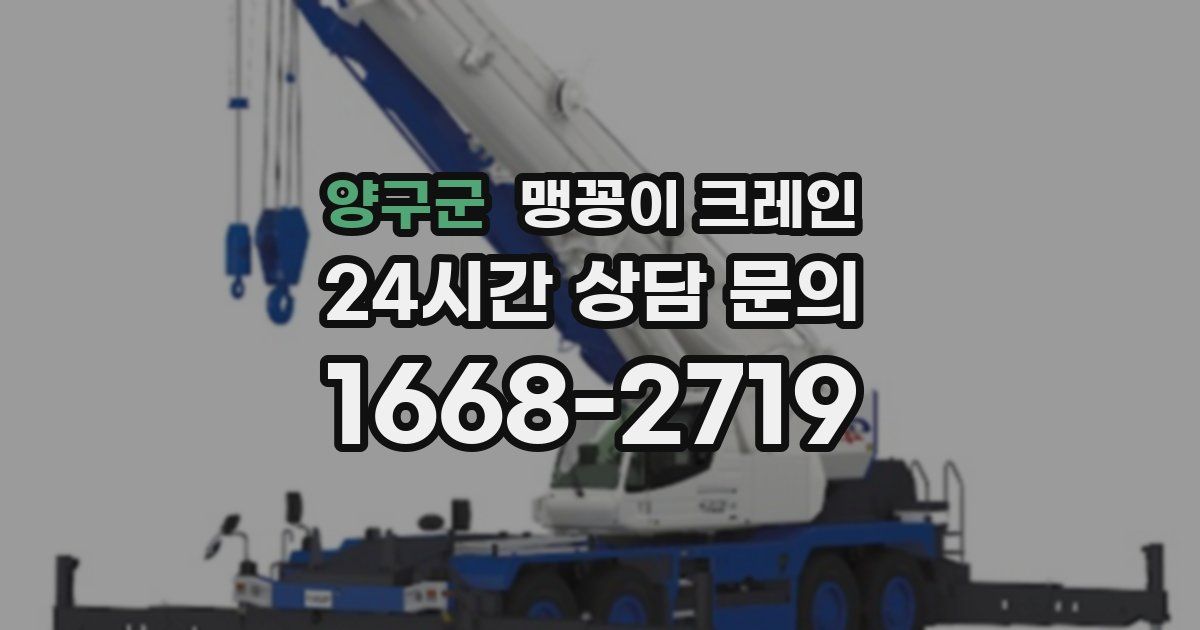 양구군 맹꽁이 크레인