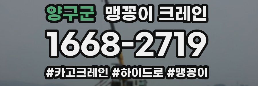 양구군 맹꽁이 크레인