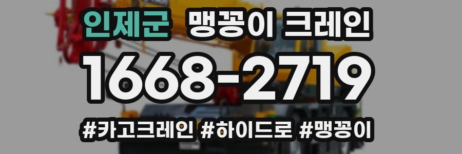 인제군 맹꽁이 크레인