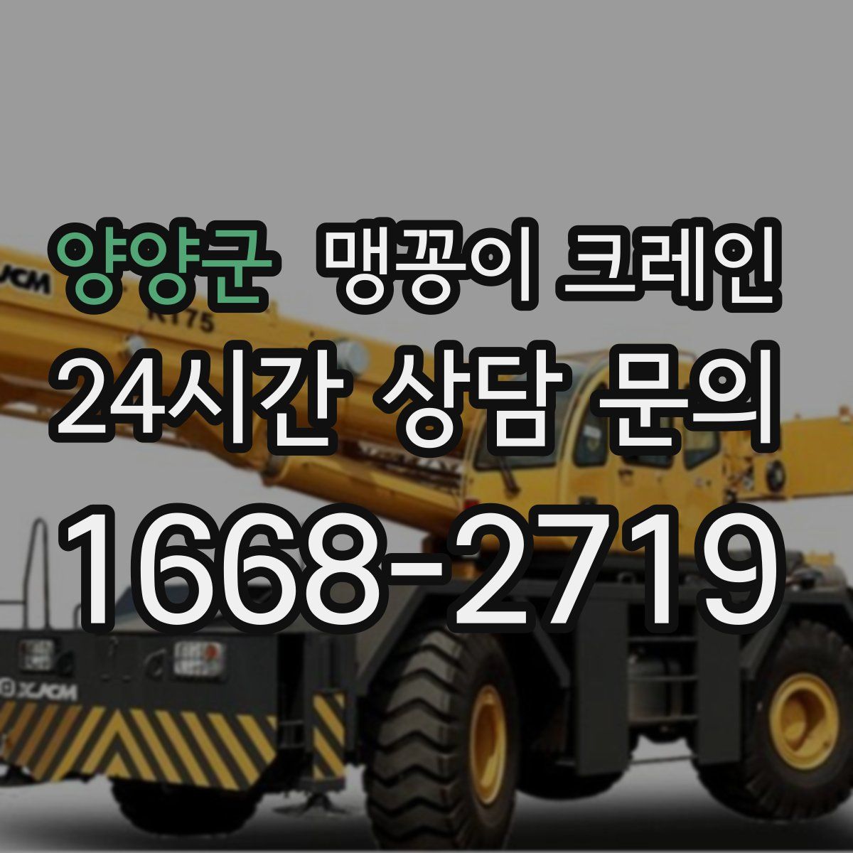 양양군 맹꽁이 크레인