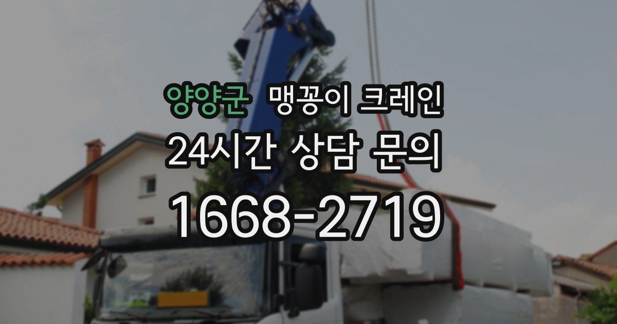 양양군 맹꽁이 크레인