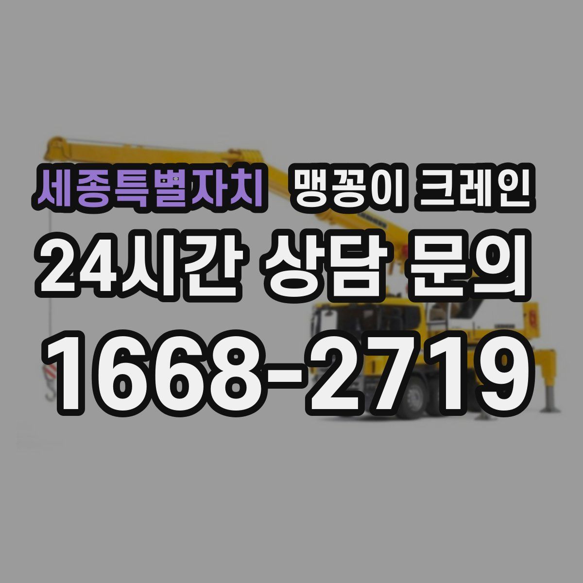 세종특별자치 맹꽁이 크레인