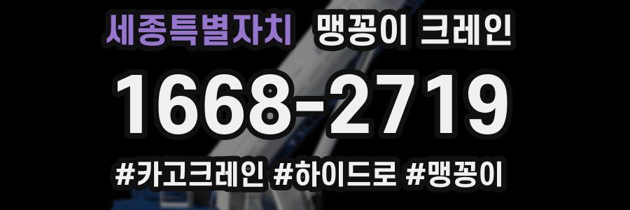 세종특별자치 맹꽁이 크레인