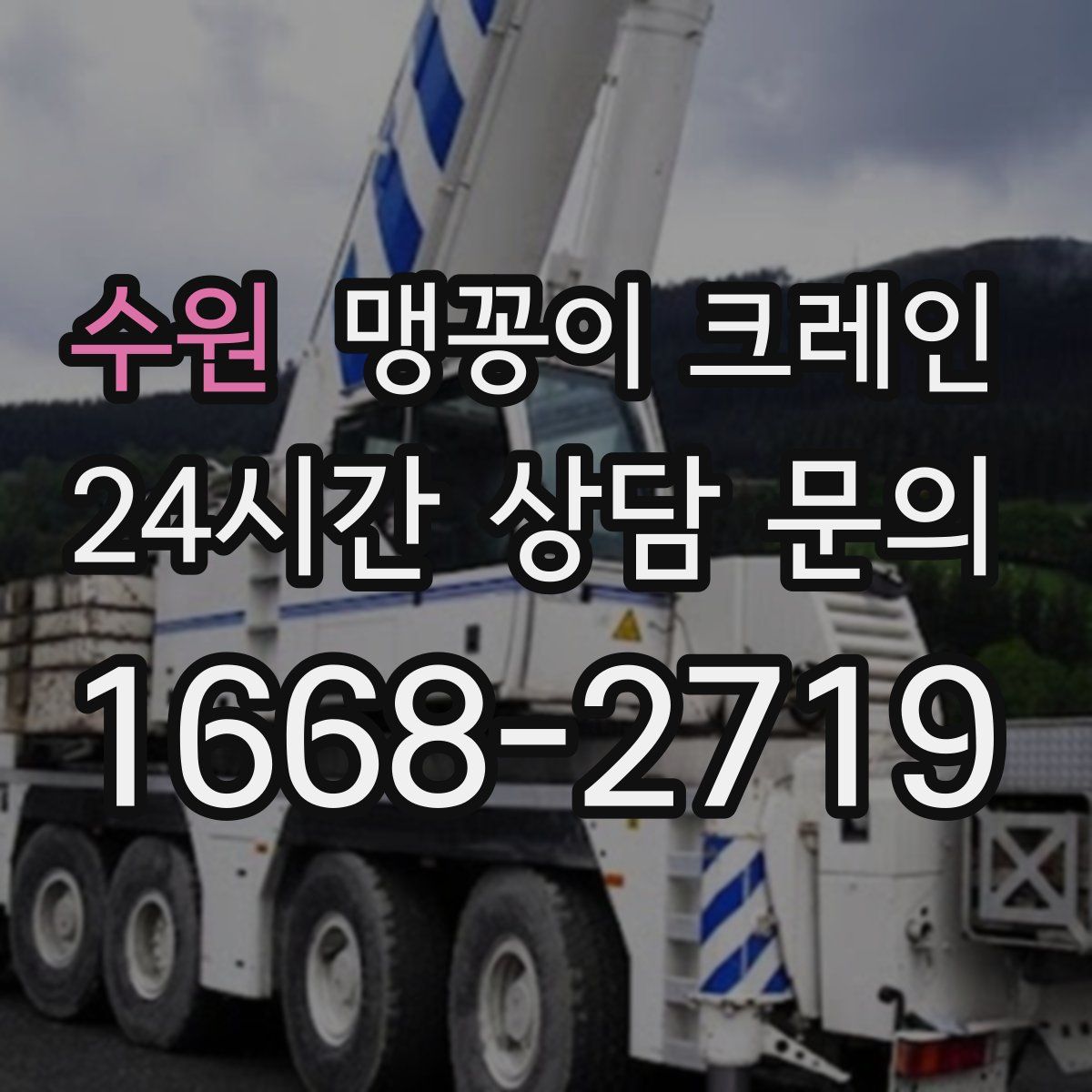 수원 맹꽁이 크레인