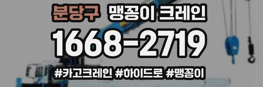 분당구 맹꽁이 크레인