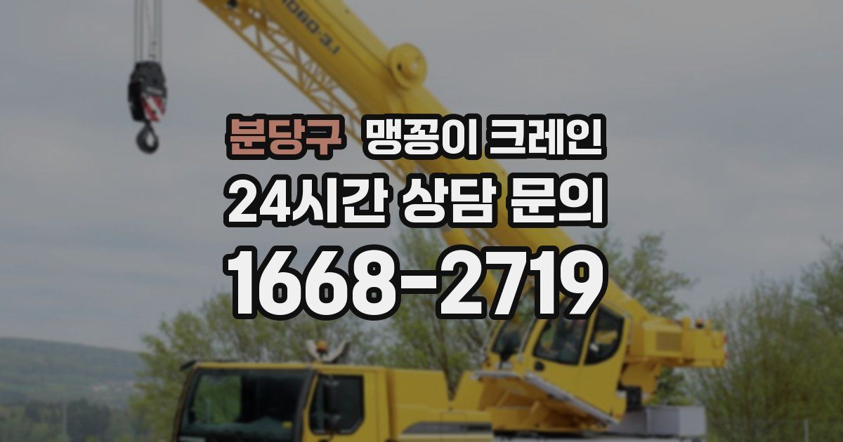 분당구 맹꽁이 크레인