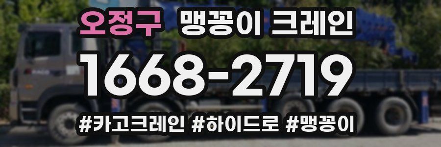 오정구 맹꽁이 크레인