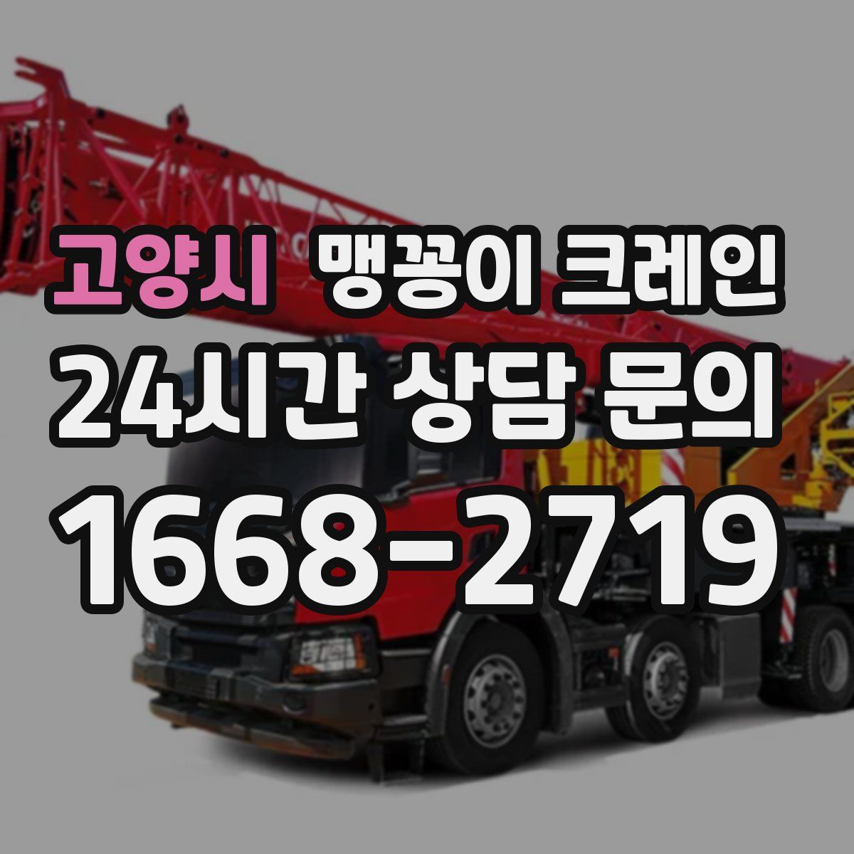 고양시 맹꽁이 크레인