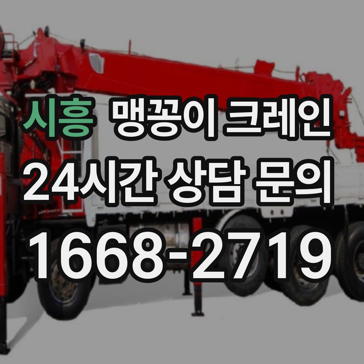 시흥 맹꽁이 크레인