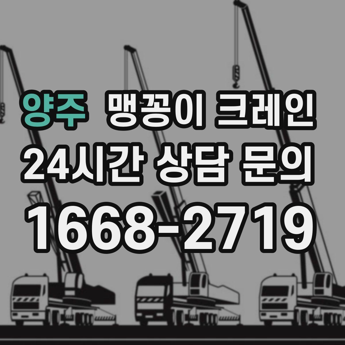 양주 맹꽁이 크레인 작업 시간대 선택이 중요한 이유