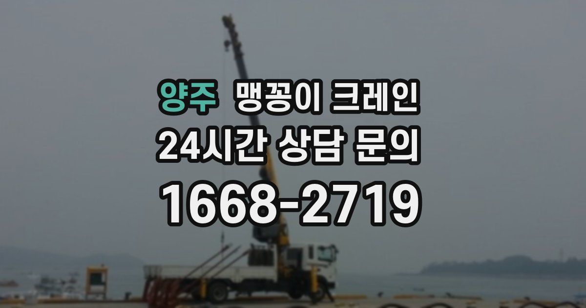 양주 맹꽁이 크레인