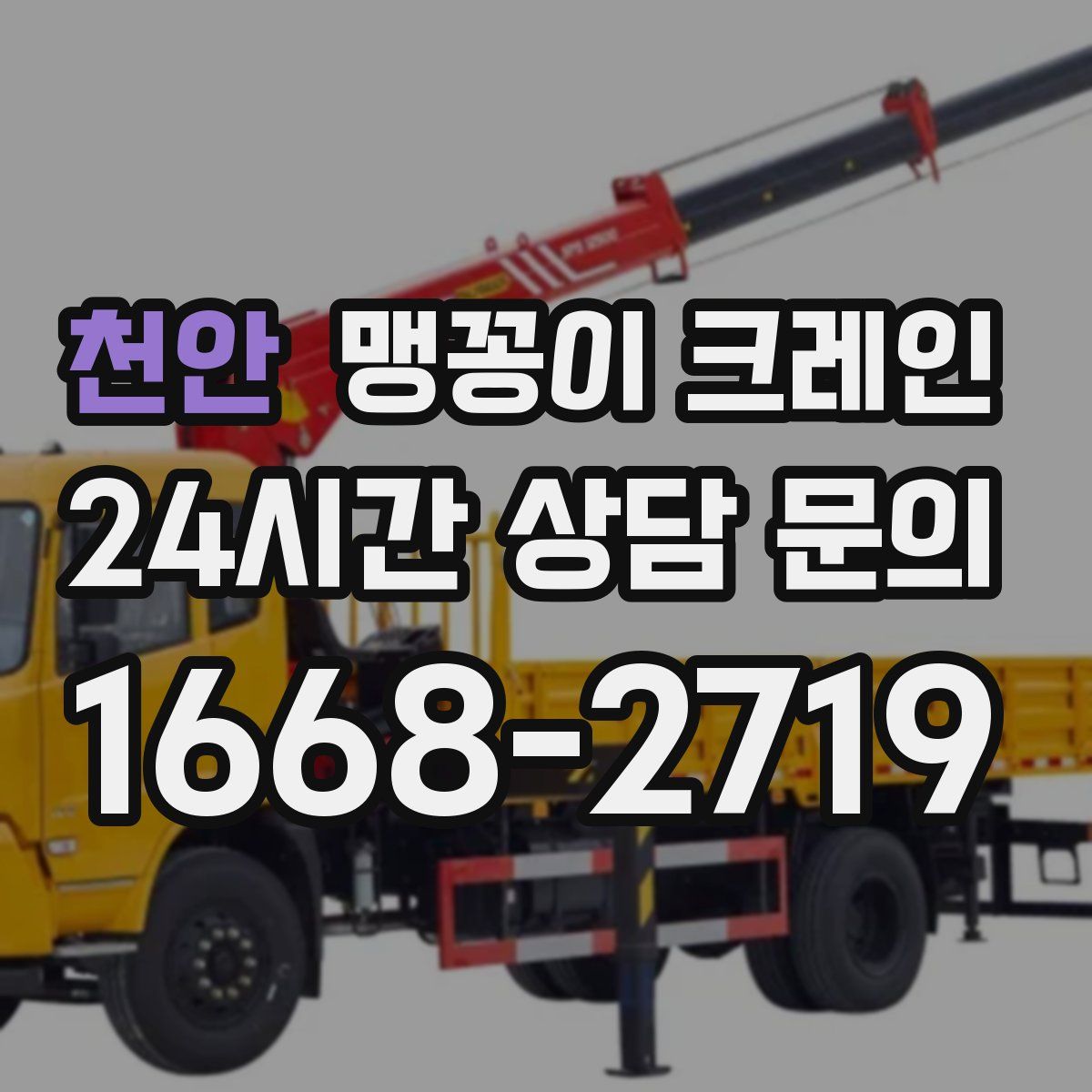 천안 맹꽁이 크레인