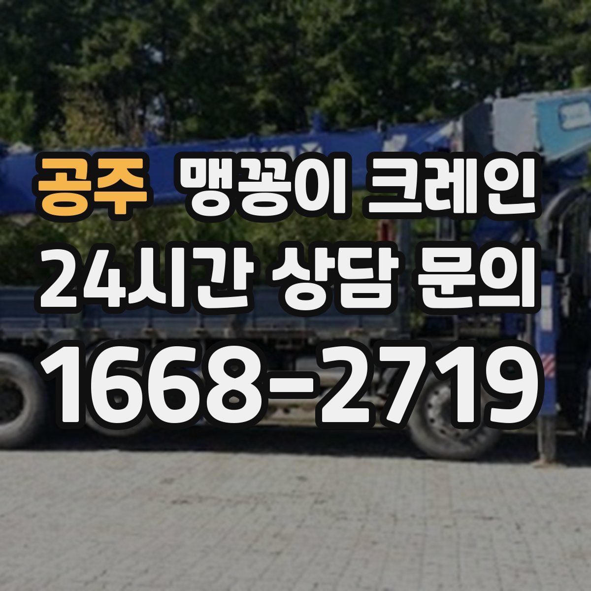 공주 맹꽁이 크레인