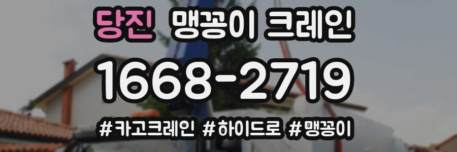 당진 맹꽁이 크레인