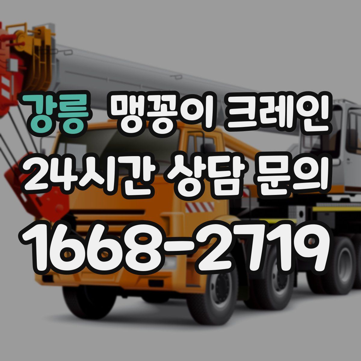 강릉 맹꽁이 크레인