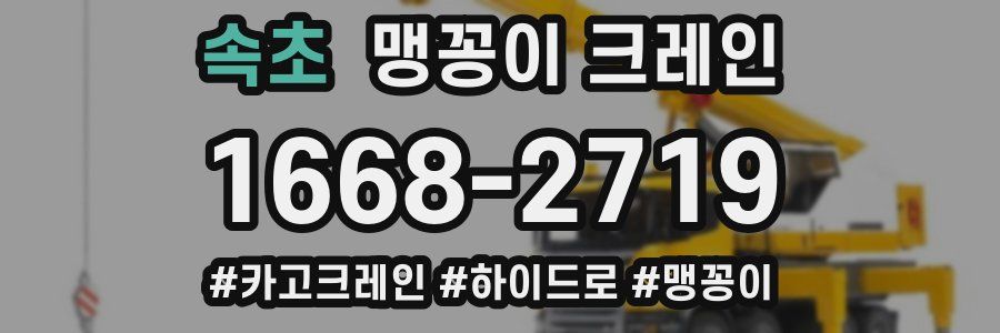 속초 맹꽁이 크레인