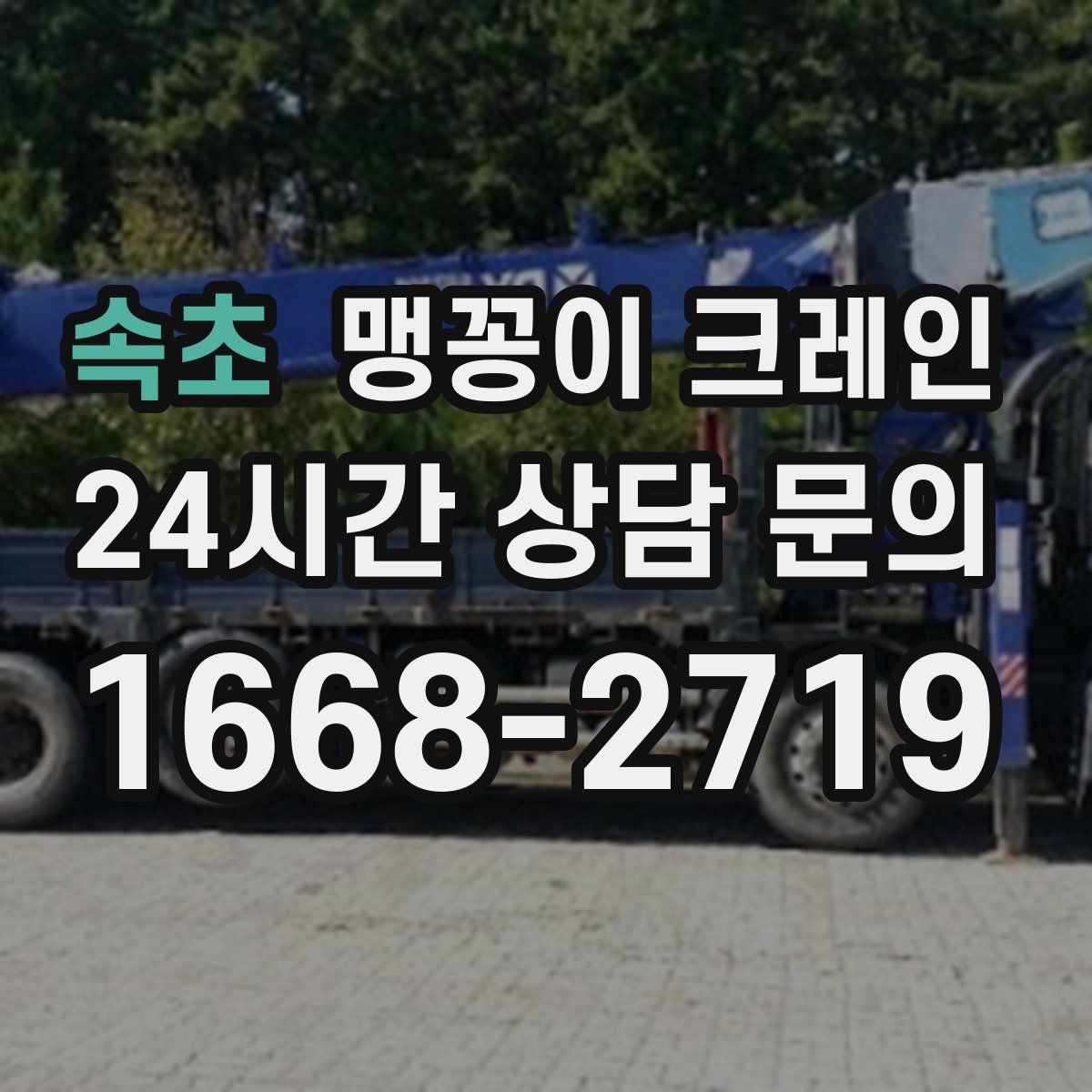 속초 맹꽁이 크레인