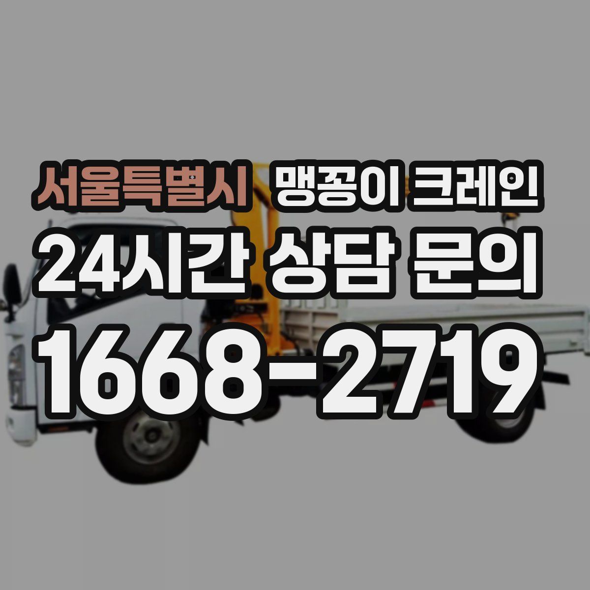 서울특별시 맹꽁이 크레인