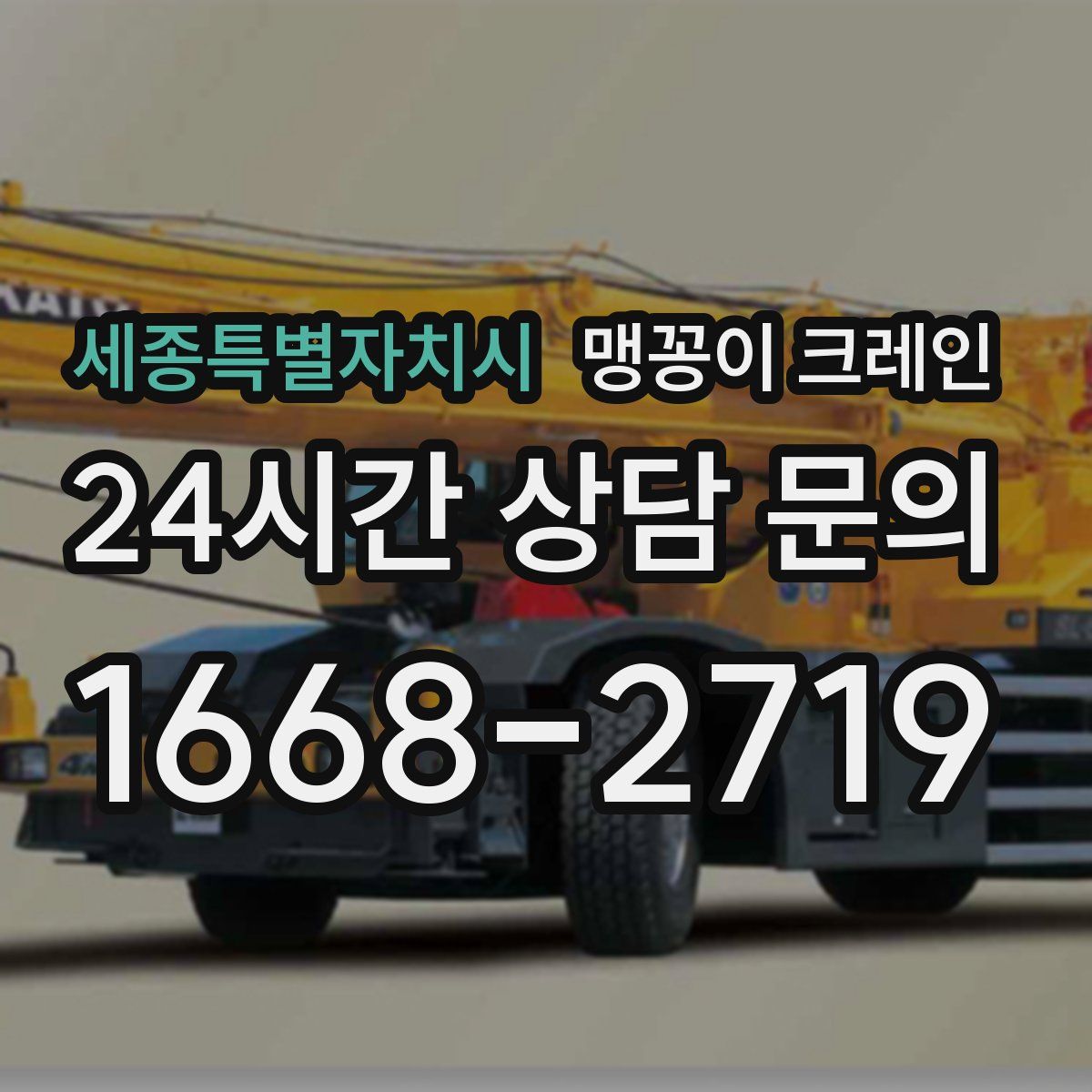 세종특별자치시 맹꽁이 크레인