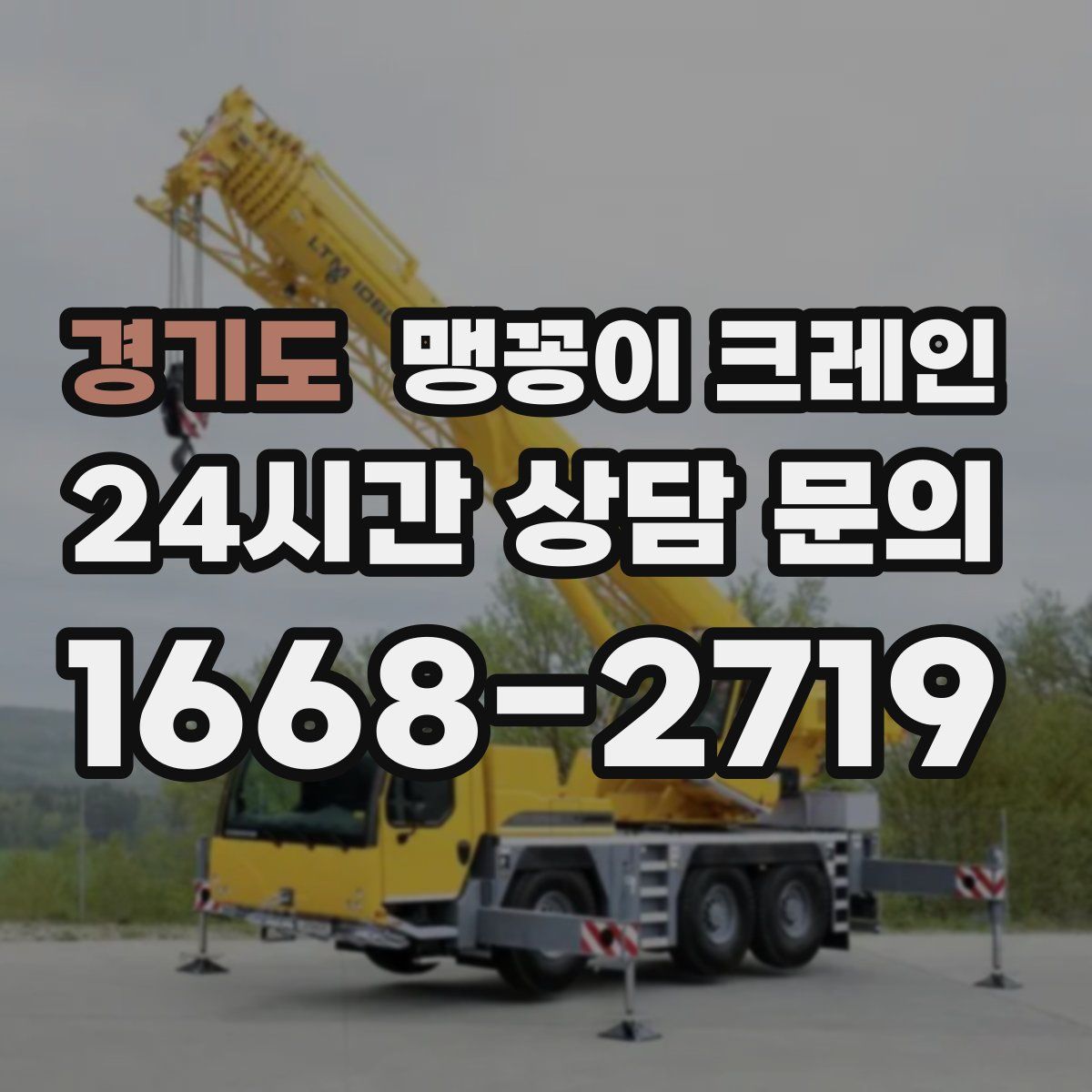 경기도 맹꽁이 크레인