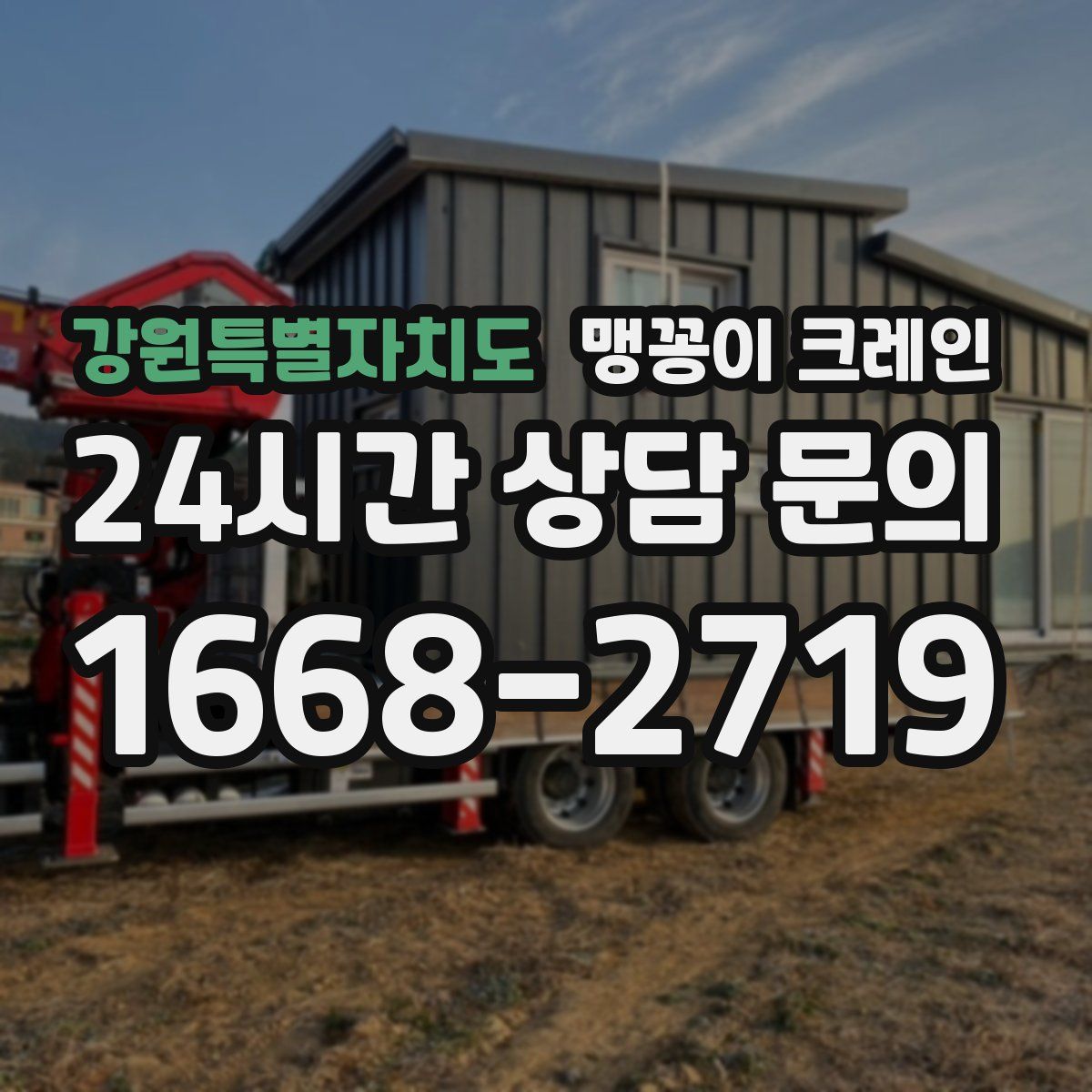 강원특별자치도 맹꽁이 크레인