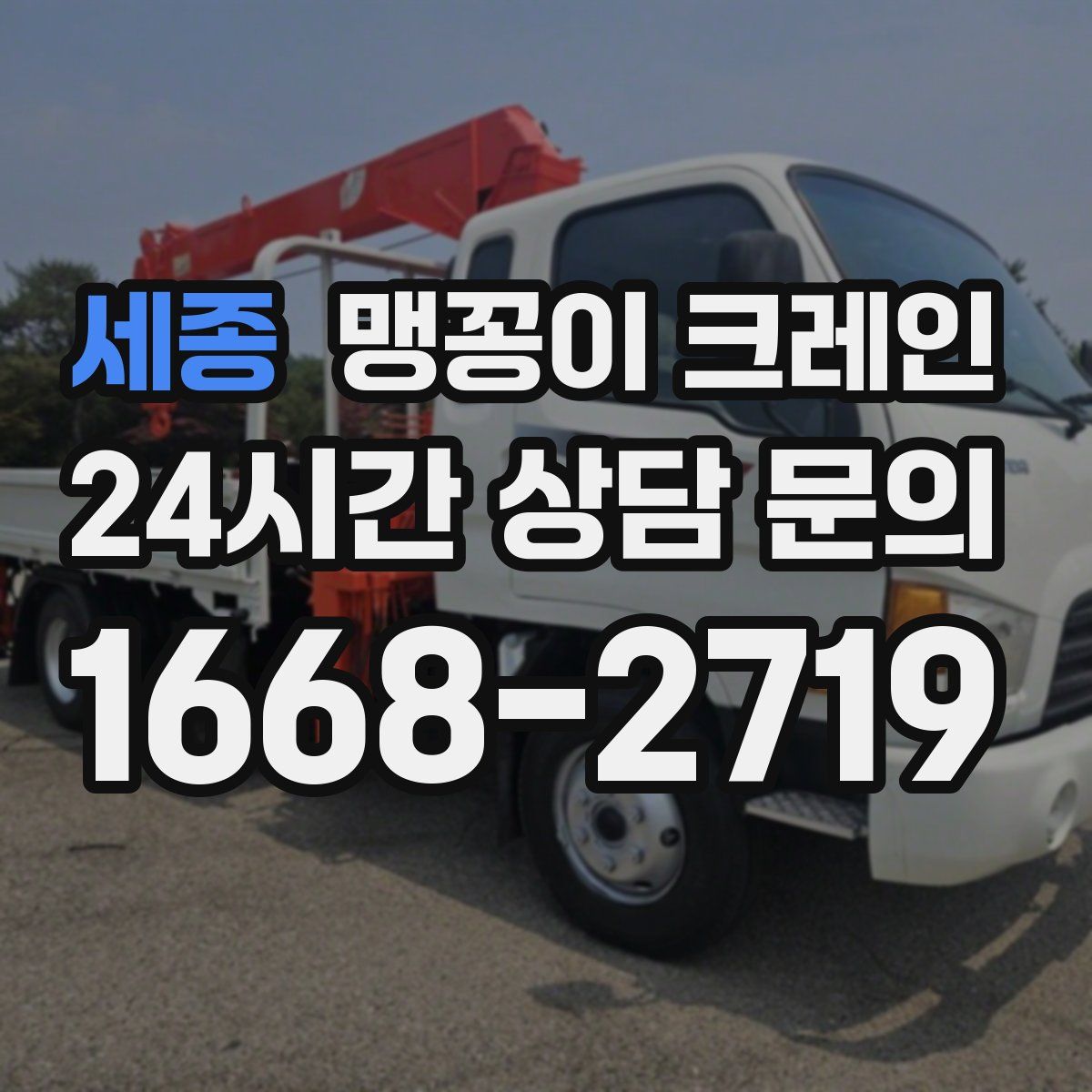 세종 맹꽁이 크레인