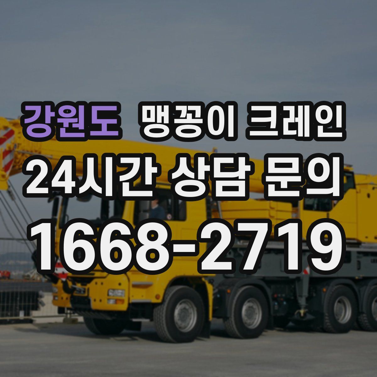 강원도 맹꽁이 크레인