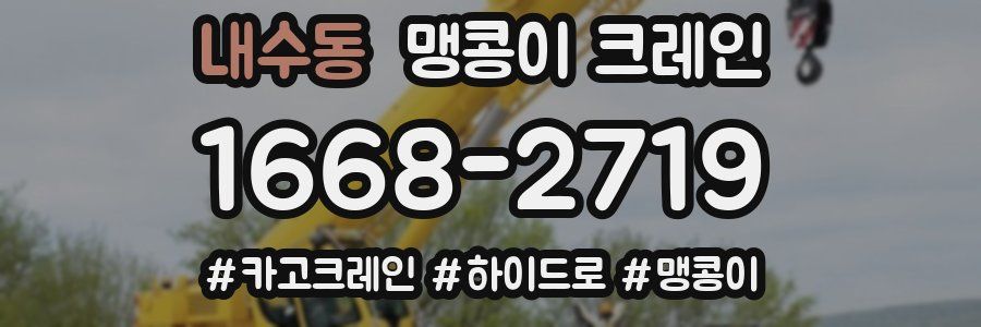 내수동 맹콩이 크레인