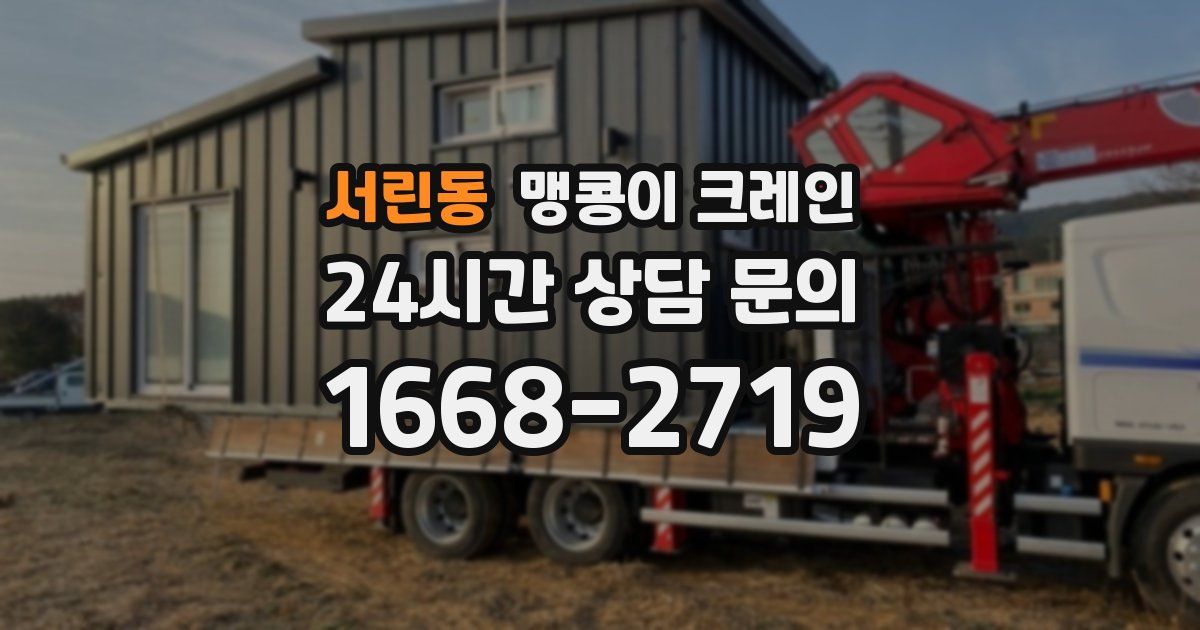 서린동 맹콩이 크레인