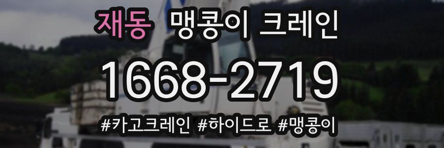 재동 맹콩이 크레인