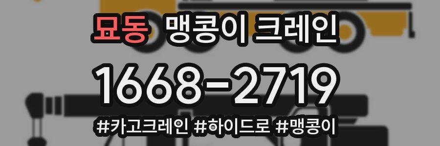 묘동 맹콩이 크레인