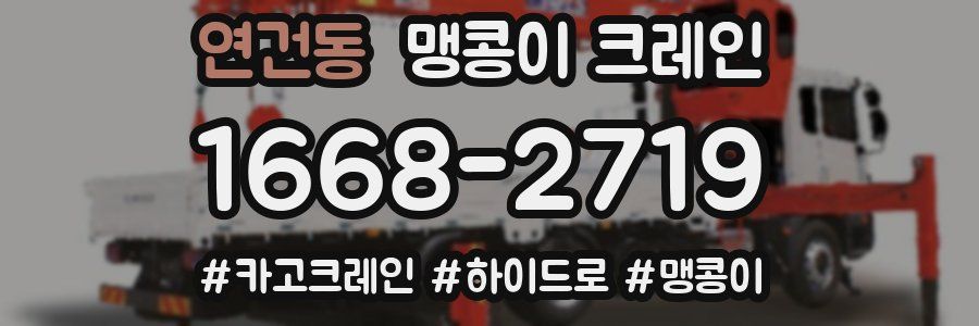 연건동 맹콩이 크레인