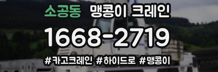 소공동 맹콩이 크레인