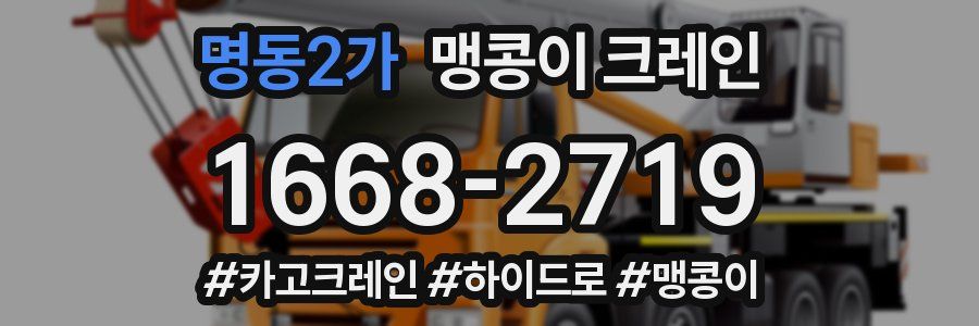 명동2가 맹콩이 크레인