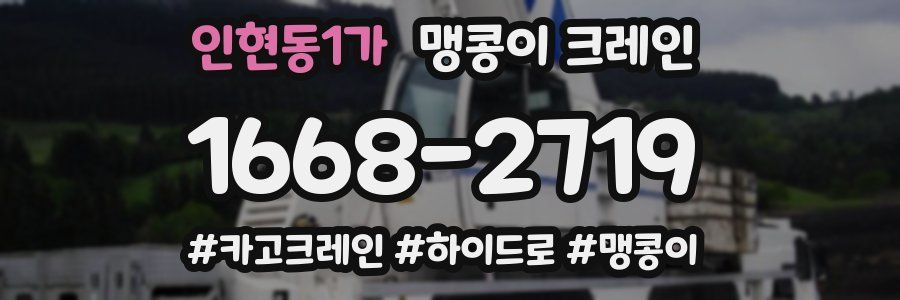 인현동1가 맹콩이 크레인