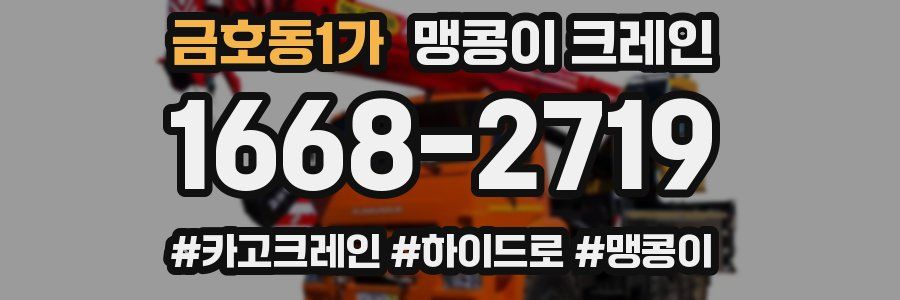 금호동1가 맹콩이 크레인