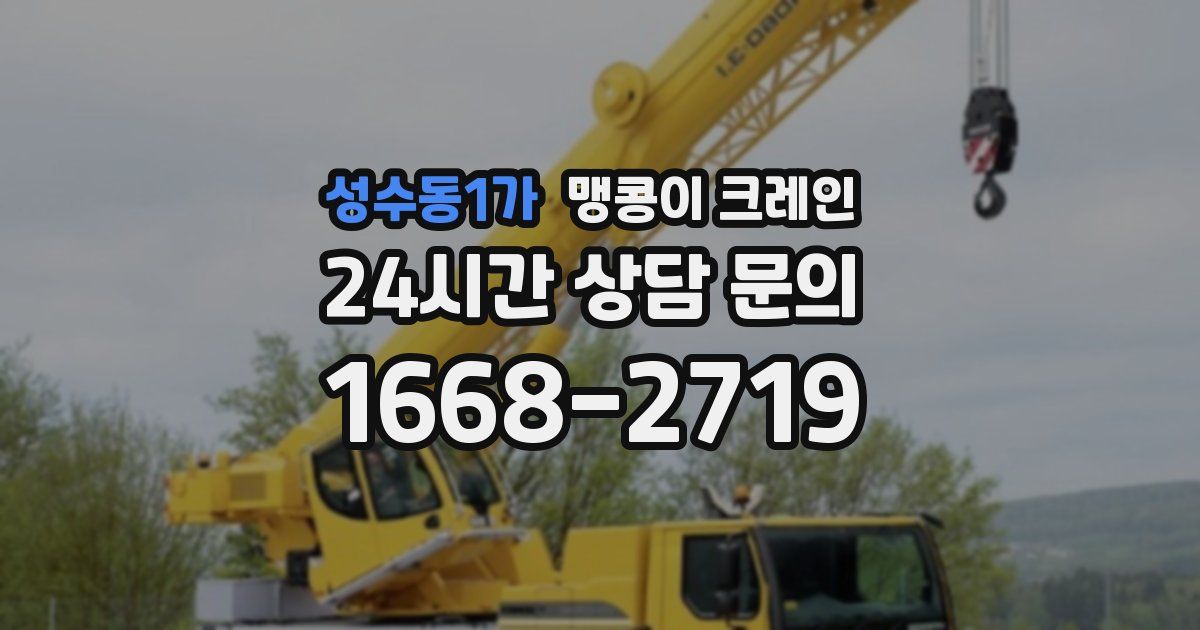 성수동1가 맹콩이 크레인