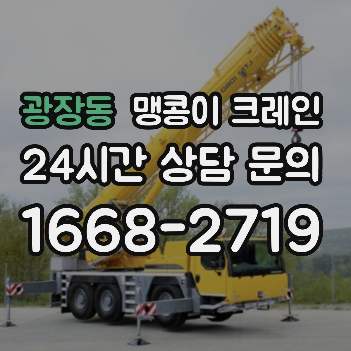 광장동 맹콩이 크레인 컨테이너 내부 장비 반입에 적합한 이유