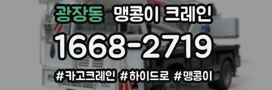 광장동 맹콩이 크레인