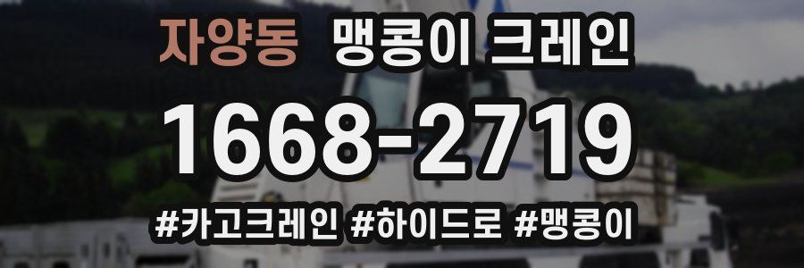 자양동 맹콩이 크레인